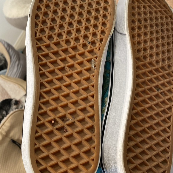 Van Gogh Cherry Blossom Limited Edition Vans - Picture 5 of 7